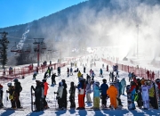 追光｜炎炎夏日，这里的滑雪场“上新”啦！