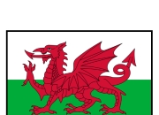 2025年欧洲杯实力排名：西班牙队仍是夺冠热门，英格兰队紧随其后